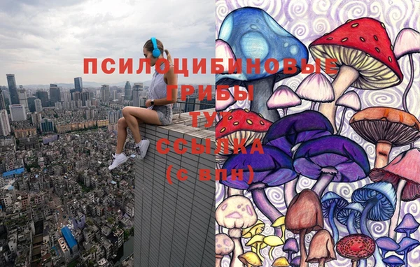марки nbome Заводоуковск
