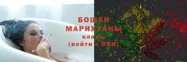 ECSTASY Ельня